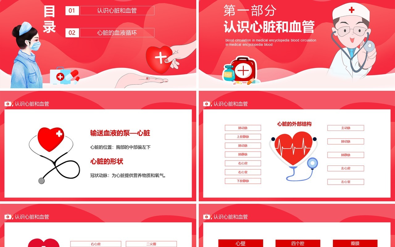 红色医学百科之血液循环动态PPT模板