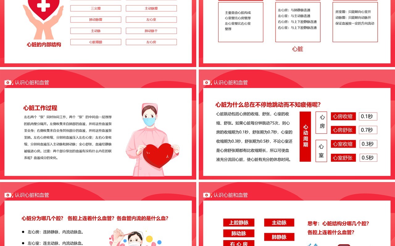 红色医学百科之血液循环动态PPT模板
