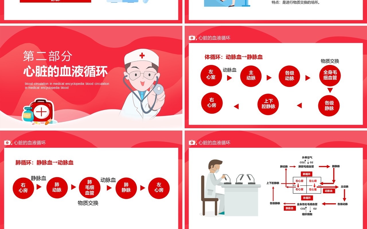 红色医学百科之血液循环动态PPT模板