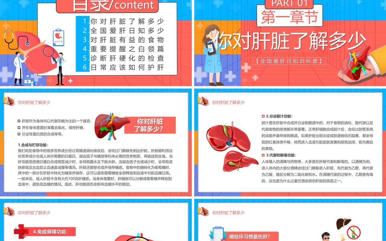 红蓝卡通风全国爱肝日介绍PPT模板