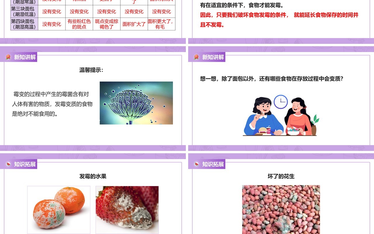 教科版四年级下册面包发霉了课件PPT模板
