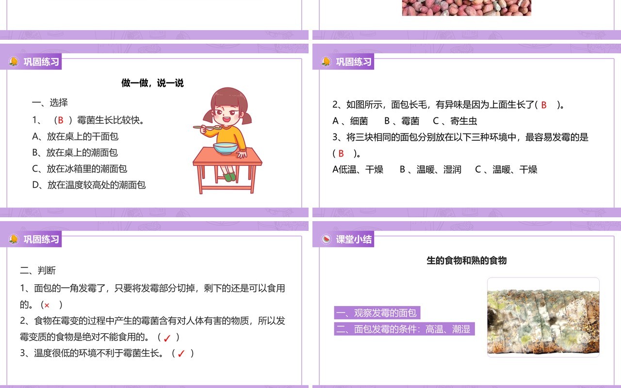 教科版四年级下册面包发霉了课件PPT模板