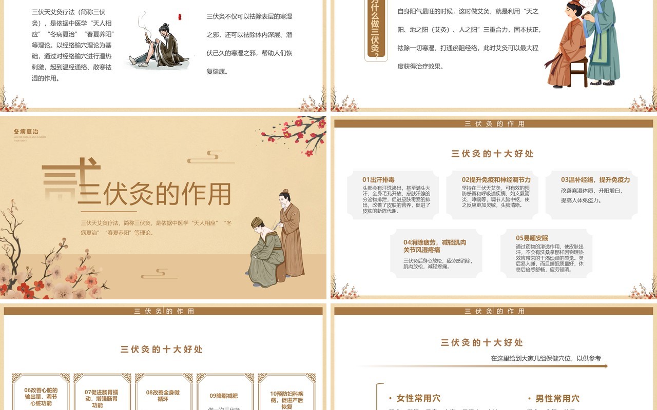 棕色中国风三伏灸知识科普PPT模板