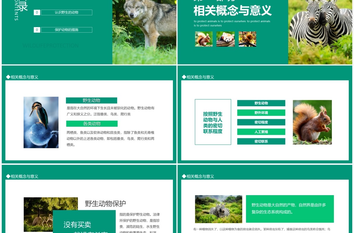 保护野生动物就是保护我们自己动态PPT模板