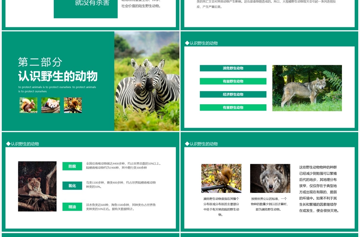 保护野生动物就是保护我们自己动态PPT模板