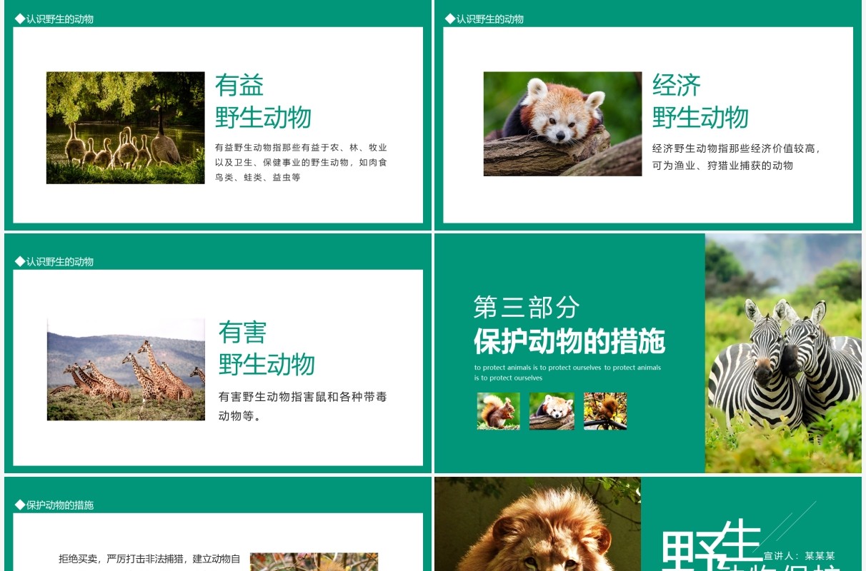 保护野生动物就是保护我们自己动态PPT模板