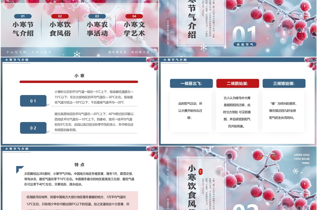 蓝色清新风二十四节气之小寒介绍PPT模板
