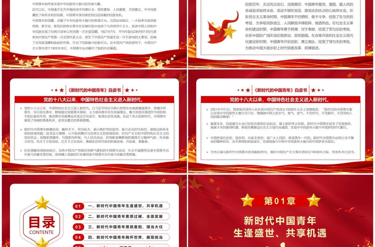红色简约新时代的中国青年白皮书PPT模板