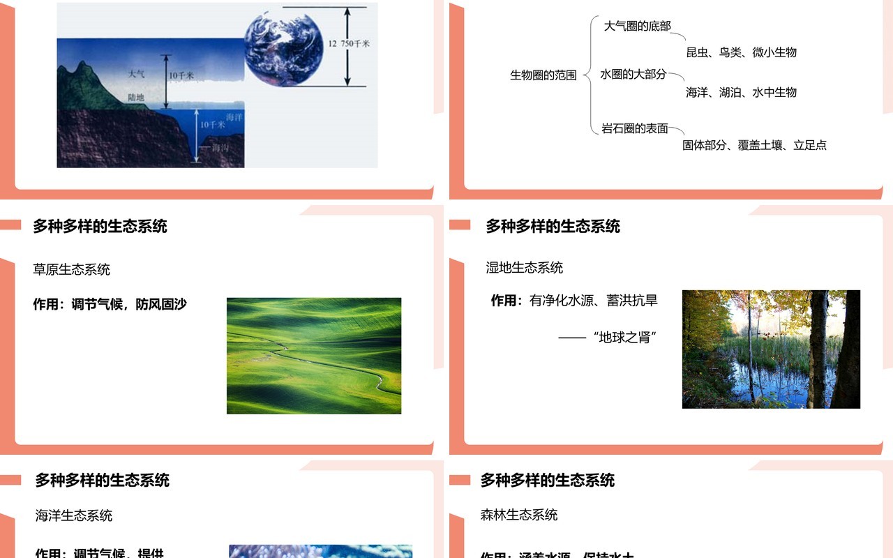 部编版七年级生物上册生物圈是最大的生态系统课件PPT模板