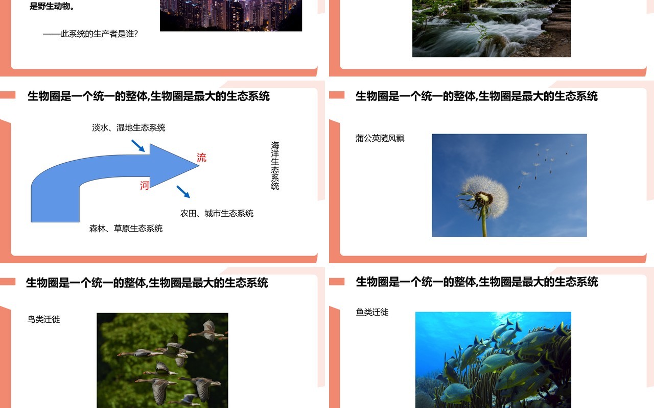 部编版七年级生物上册生物圈是最大的生态系统课件PPT模板