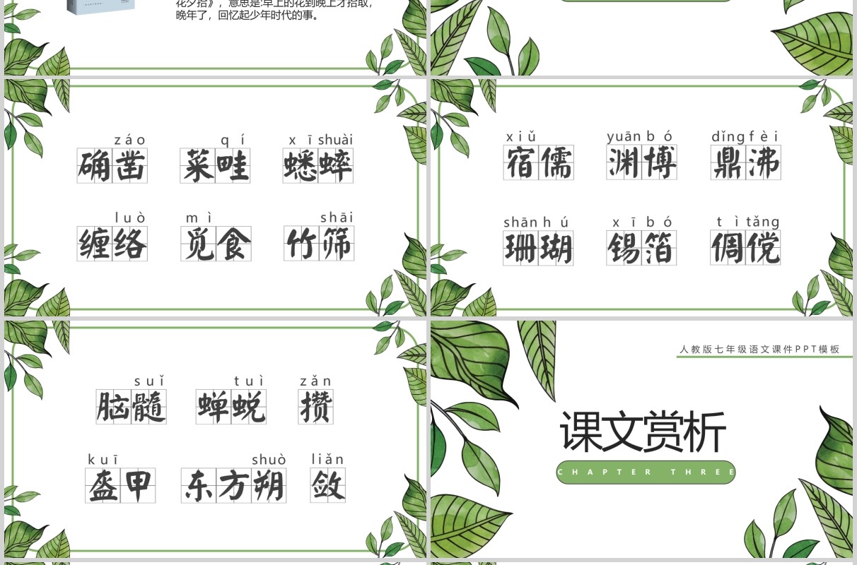 初中语文课件从百草园到三味书屋教师说课PPT模板