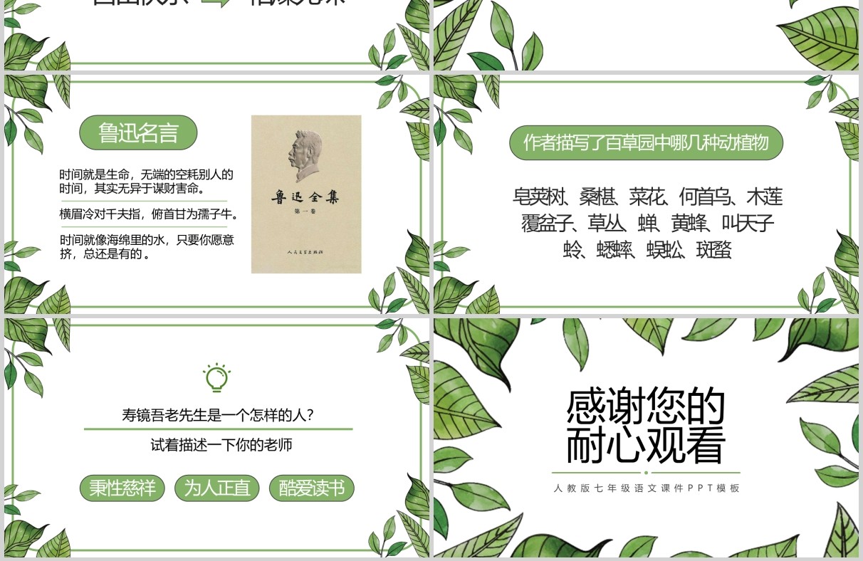 初中语文课件从百草园到三味书屋教师说课PPT模板