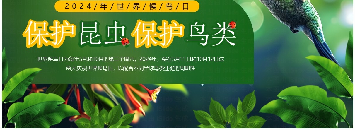 绿色插画风世界候鸟日保护鸟类PPT模板