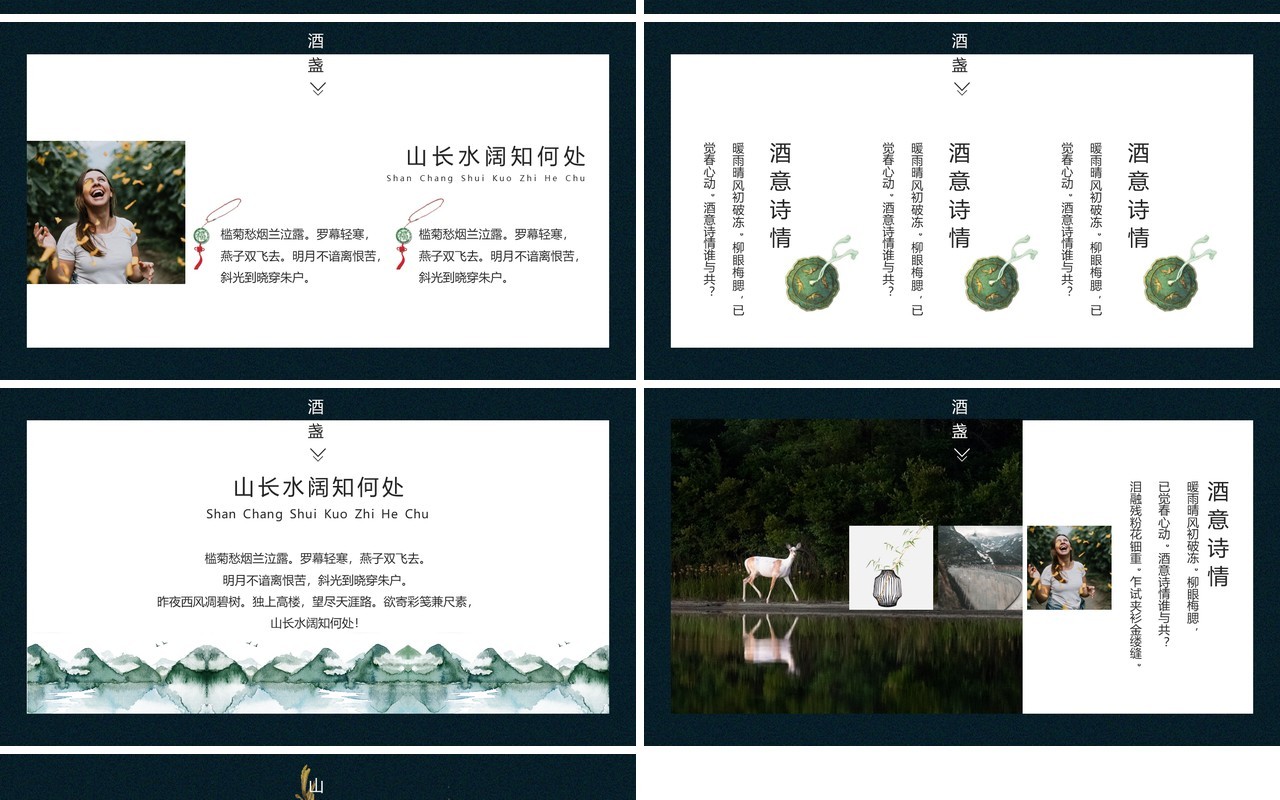 高端典雅企业策划案计划书PPT模板