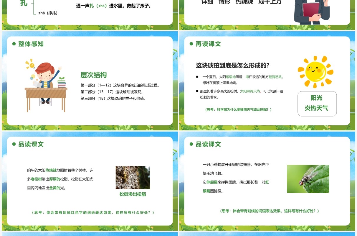 部编版四年级语文下册琥珀课件PPT模板