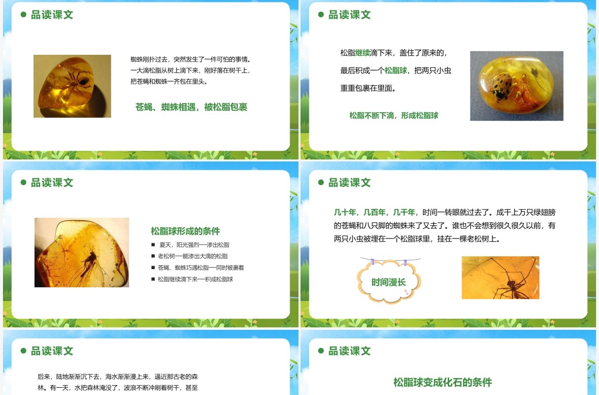 部编版四年级语文下册琥珀课件PPT模板