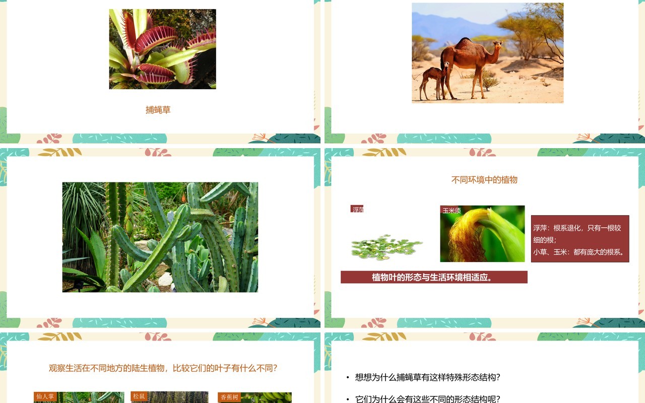 教科版六年级科学上册原来是相关联的PPT模板