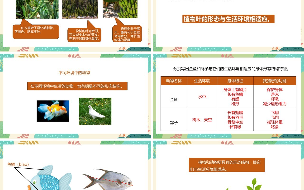 教科版六年级科学上册原来是相关联的PPT模板