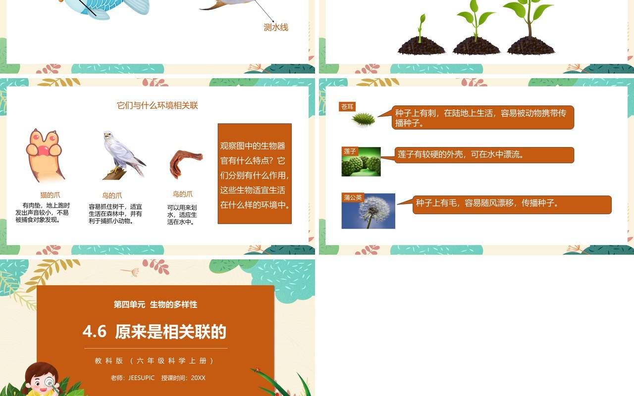 教科版六年级科学上册原来是相关联的PPT模板