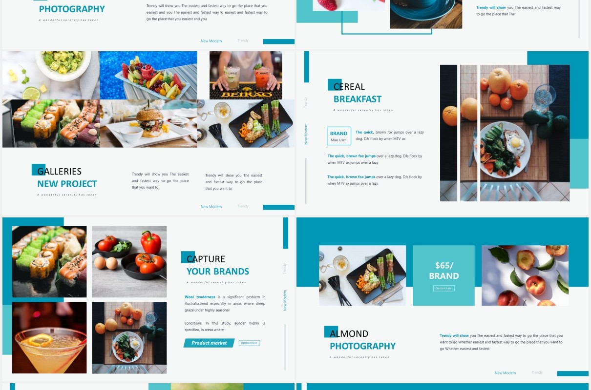蓝色国外公司通用PPT模板Robran - Powerpoint Template