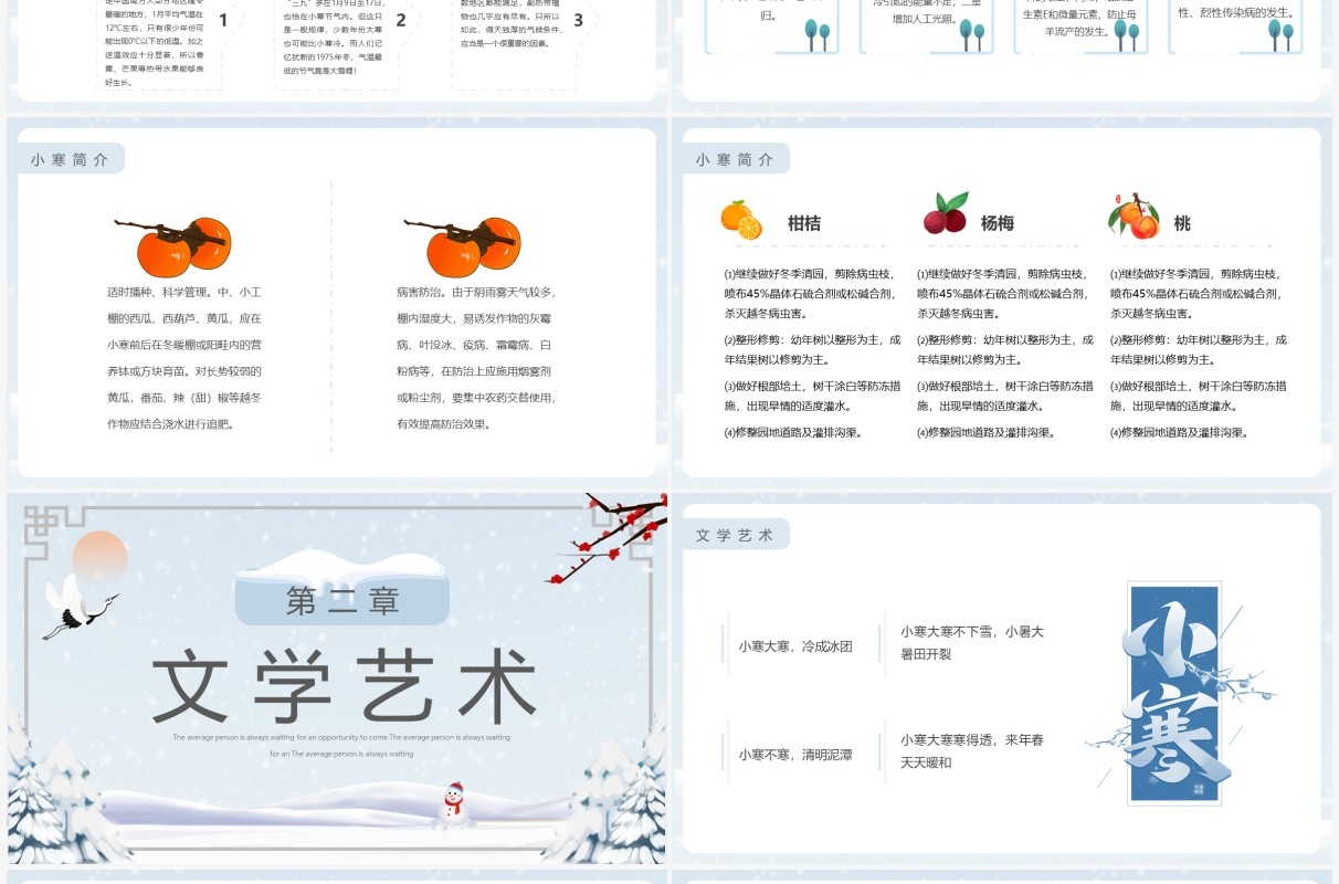 淡雅简约二十四节气之小寒介绍PPT模板