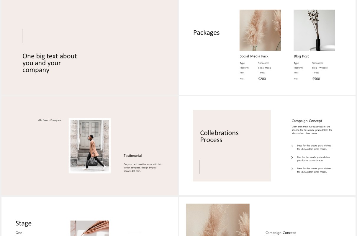 简约图文展示个人报告PPT模板MONA - Media Press Kit Powerpoint Template