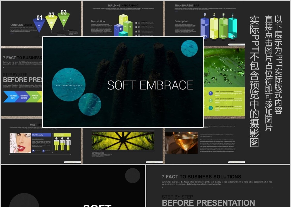 数据分析可视化工作计划PPT信息图表模板SOFT EMBRACE Powerpoint