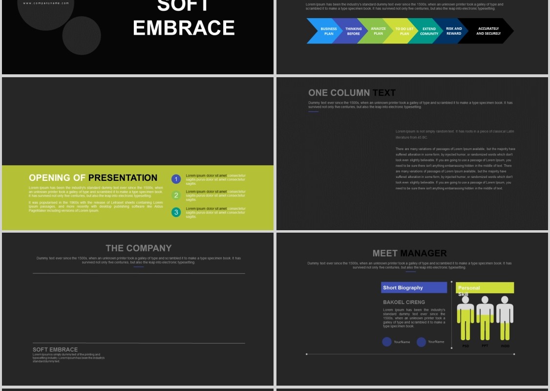数据分析可视化工作计划PPT信息图表模板SOFT EMBRACE Powerpoint