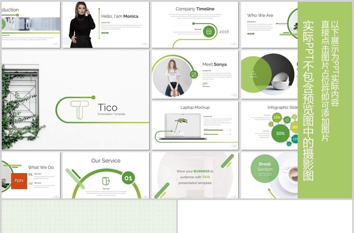 竞聘简历求职公司项目介绍PPT模板版式设计Tico Powerpoint Template