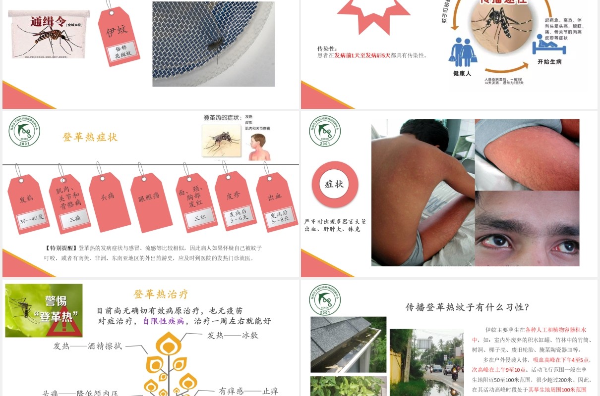 小学生预防登革热传染病知识课件PPT模板