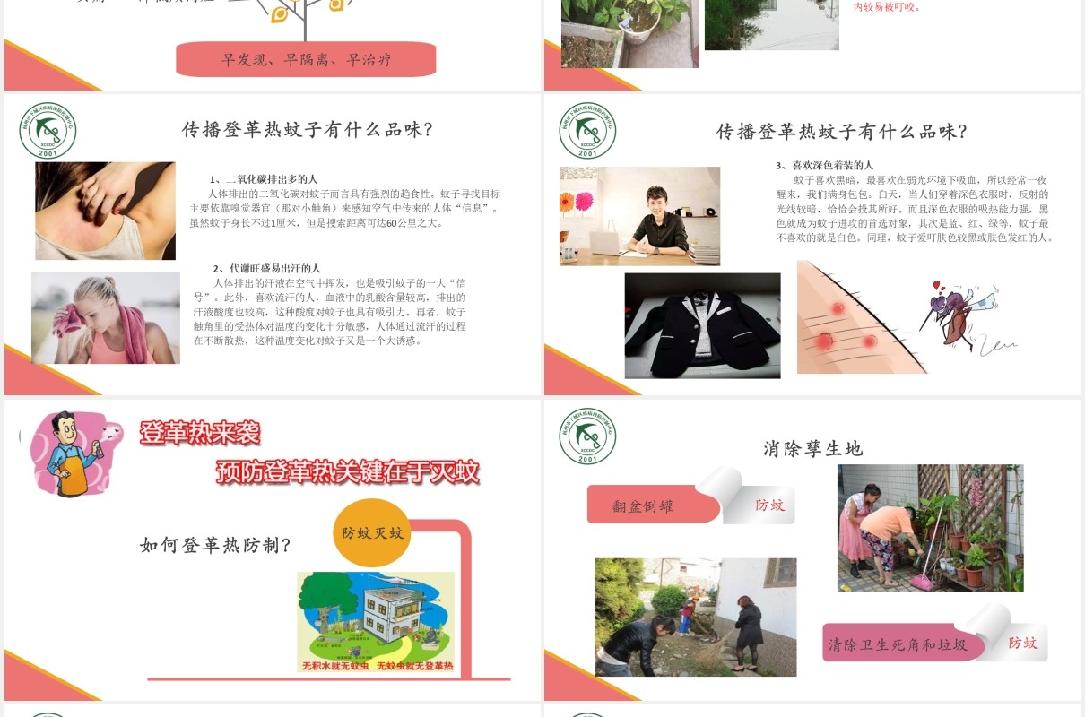 小学生预防登革热传染病知识课件PPT模板