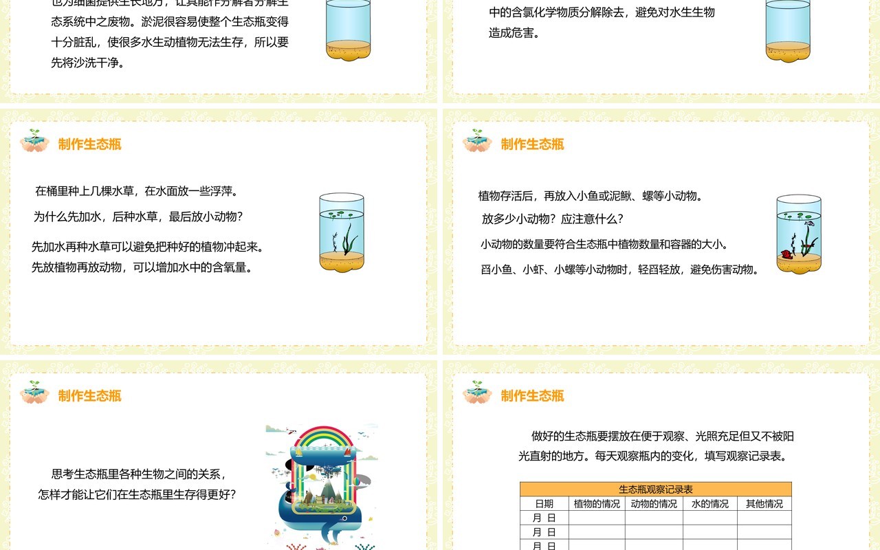教科版五年级科学上册做一个生态瓶PPT模板