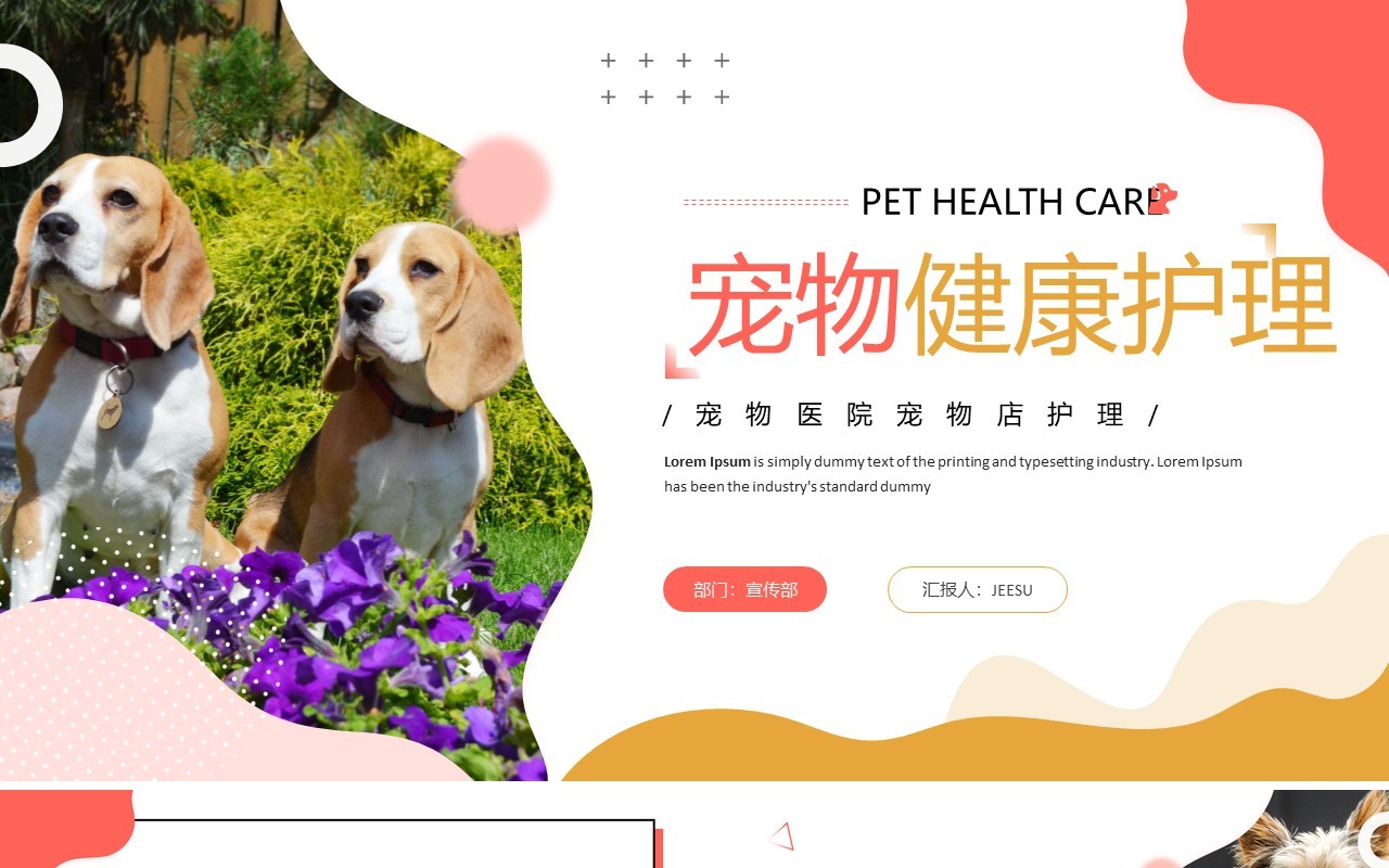 粉色简约风宠物健康护理PPT通用模板