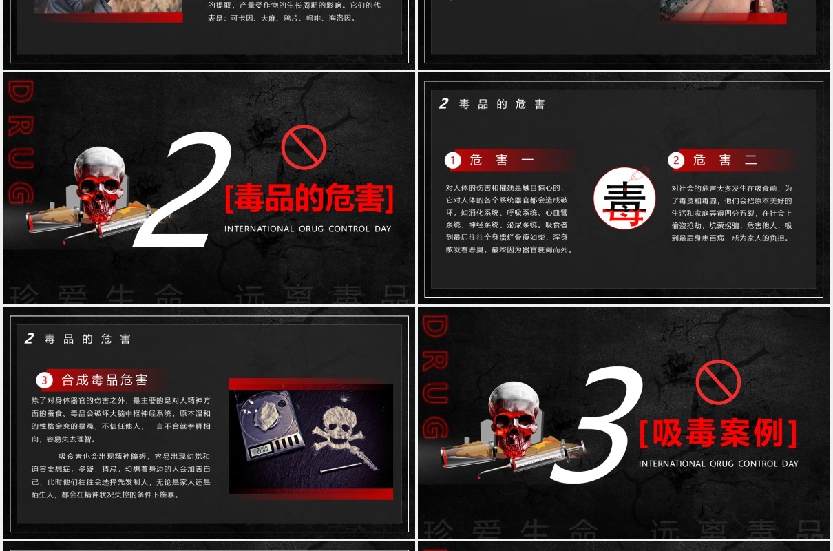黑色国际禁毒日青少年教育通用PPT模板