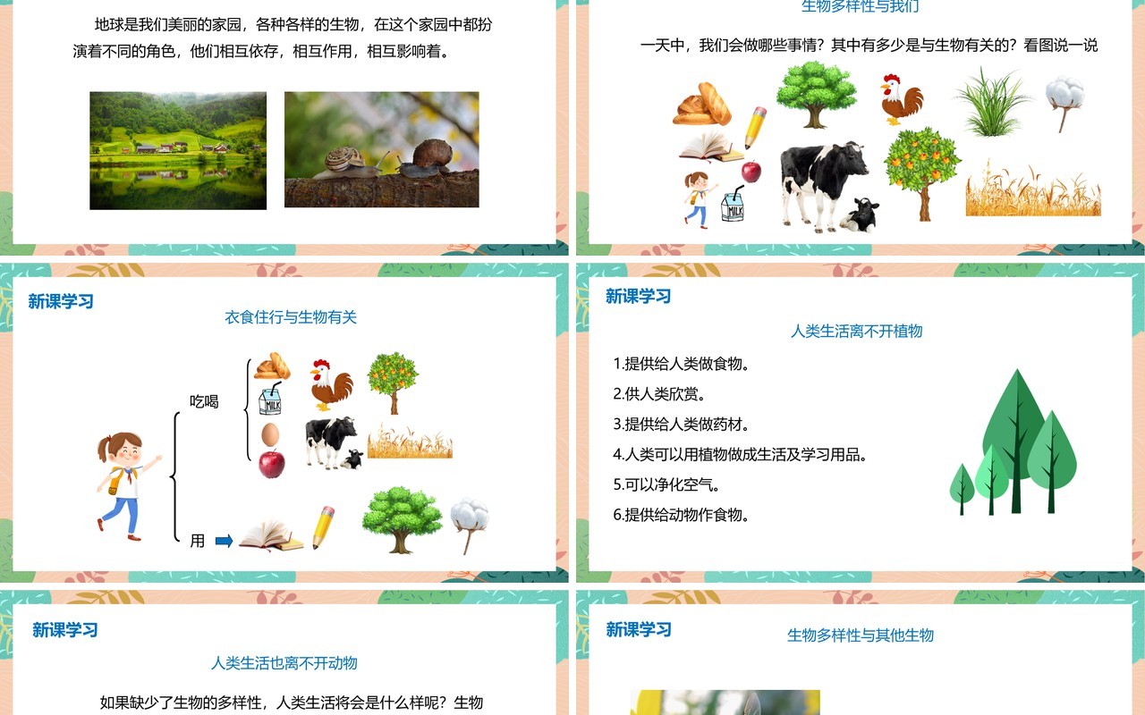 教科版六年级科学上册生物多样性的意义PPT模板