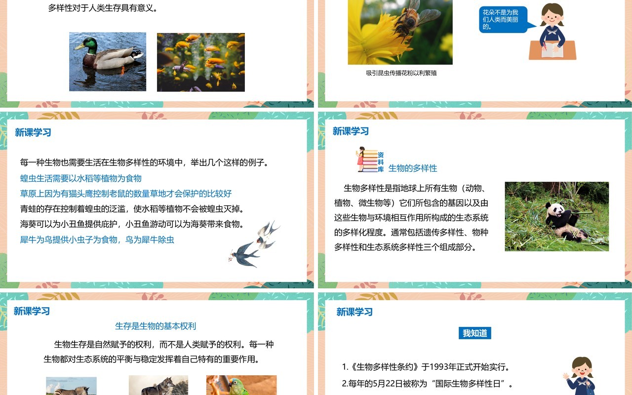 教科版六年级科学上册生物多样性的意义PPT模板