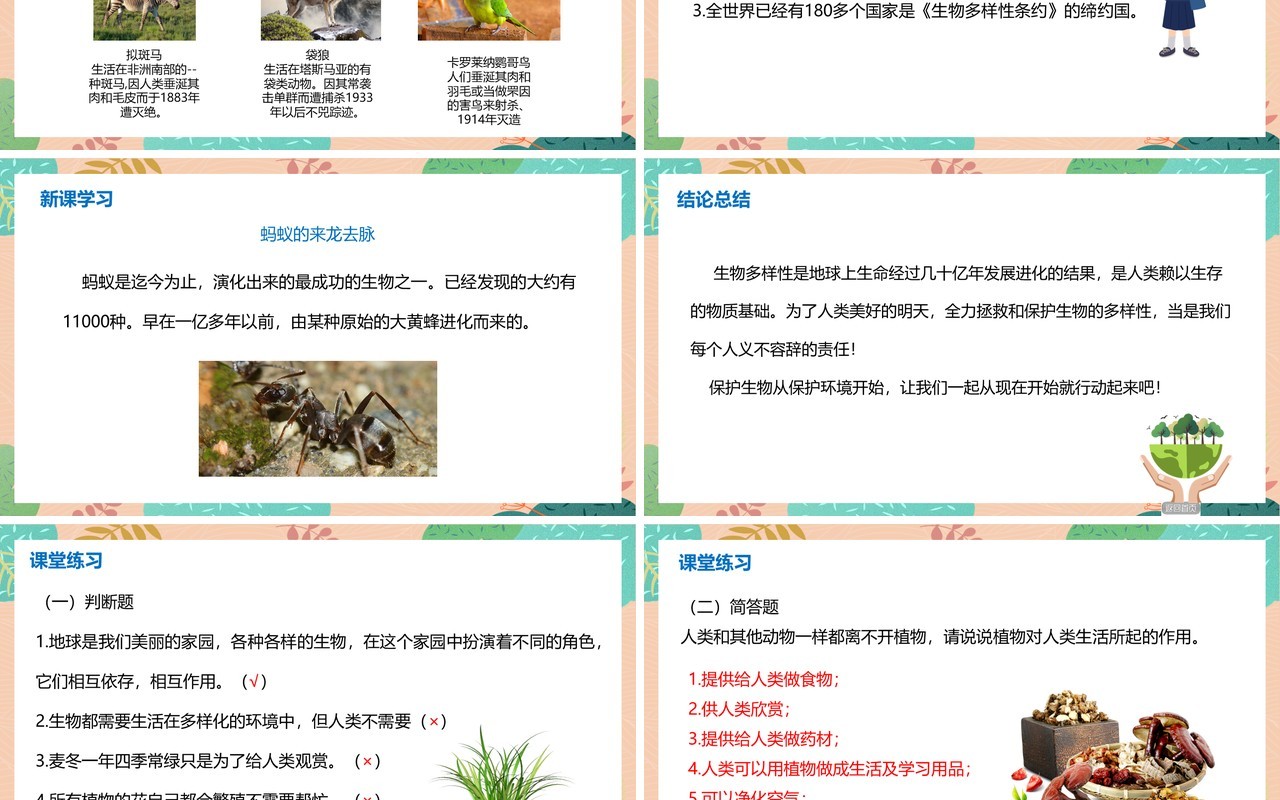 教科版六年级科学上册生物多样性的意义PPT模板