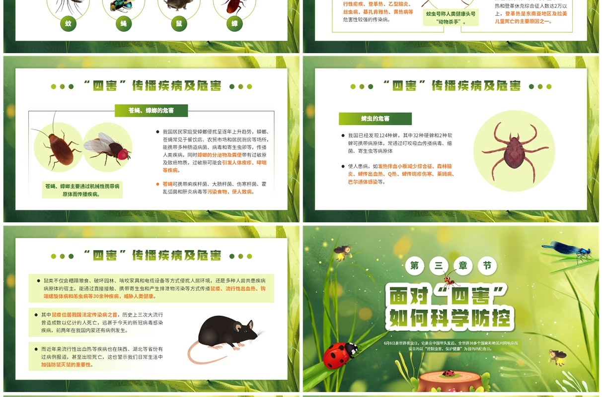 绿色插画风世界害虫日知识宣传PPT模板