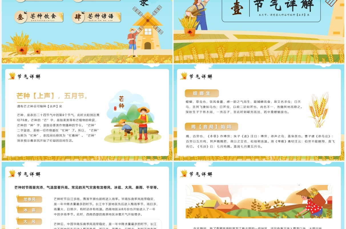 手绘卡通中国传统二十四节气芒种PPT模板