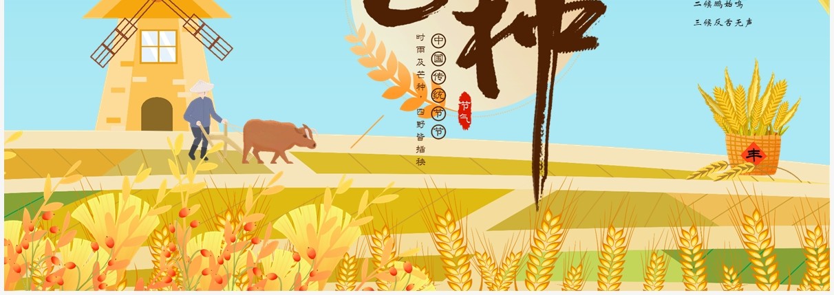 手绘卡通中国传统二十四节气芒种PPT模板