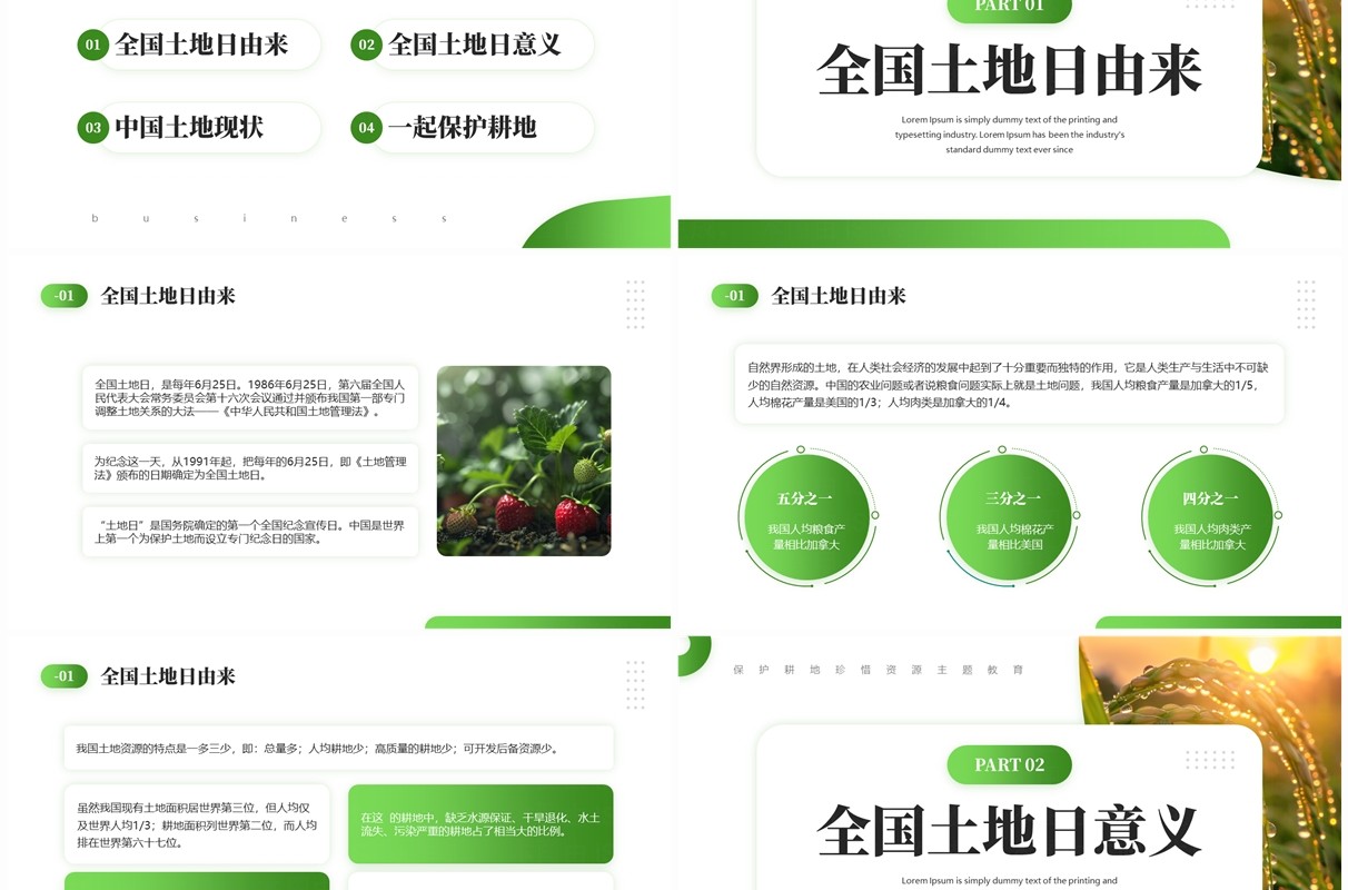 绿色简约风全国土地日保护耕地PPT模板