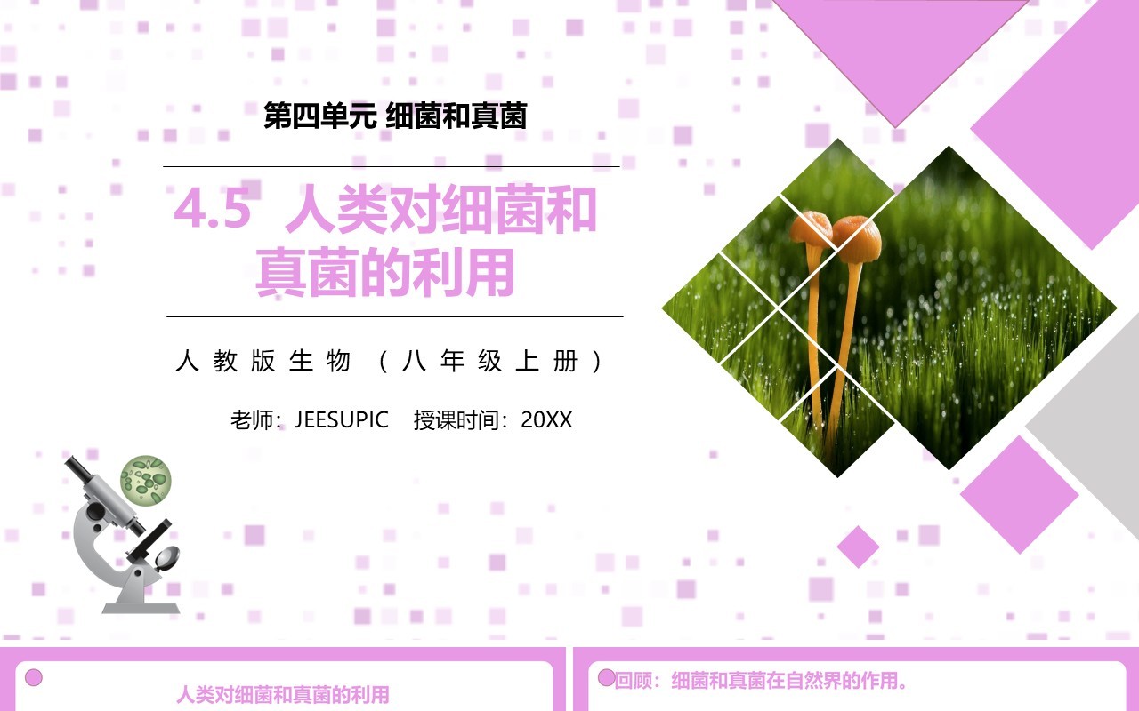 部编版八年级生物上册人类对细菌和真菌的利用PPT模板