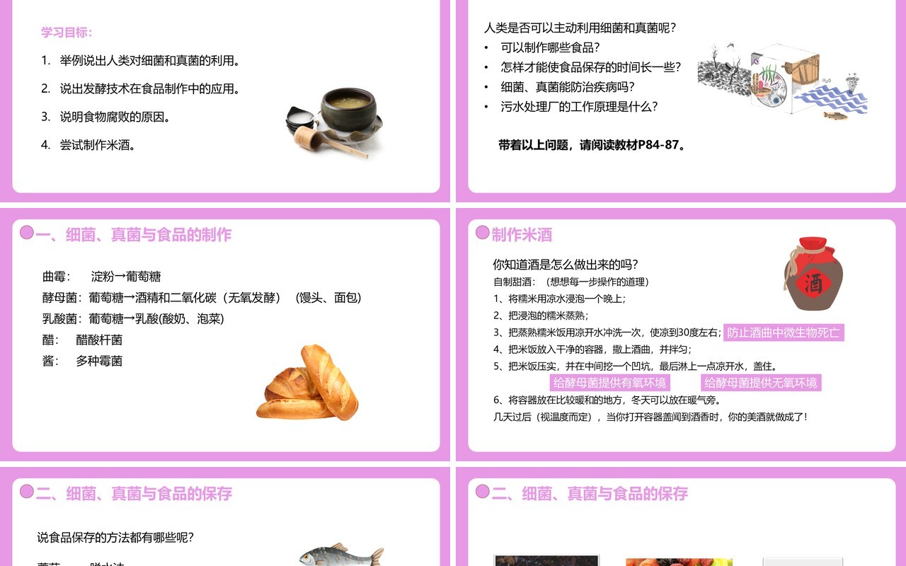 部编版八年级生物上册人类对细菌和真菌的利用PPT模板