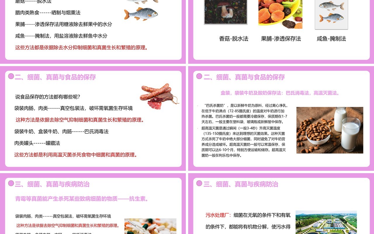 部编版八年级生物上册人类对细菌和真菌的利用PPT模板