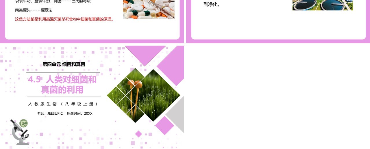 部编版八年级生物上册人类对细菌和真菌的利用PPT模板