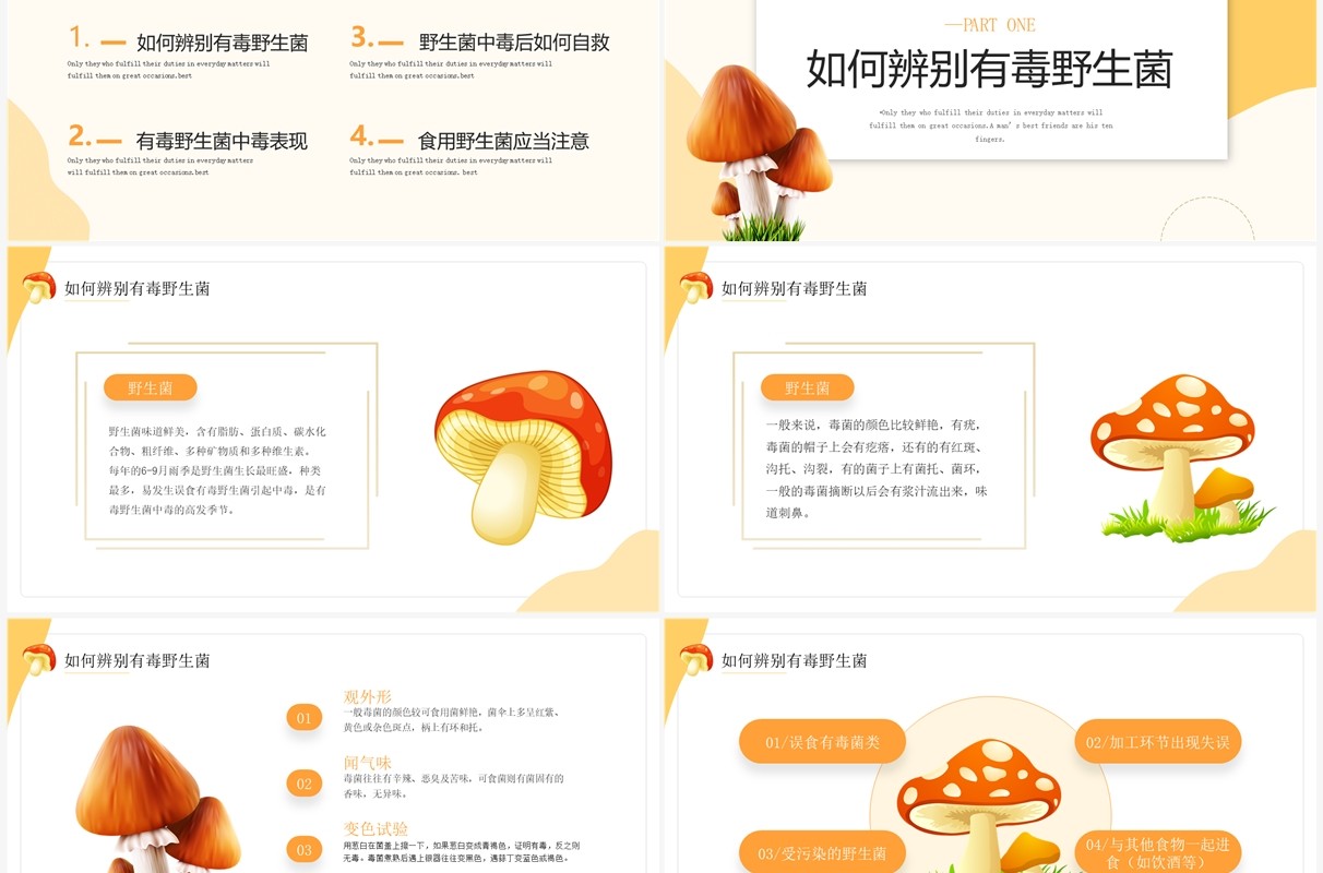 橙色简约风预防野生菌中毒宣传PPT模板