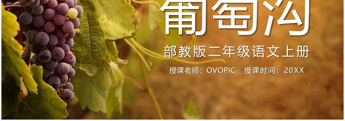 部编版二年级语文上册葡萄沟课件PPT模板