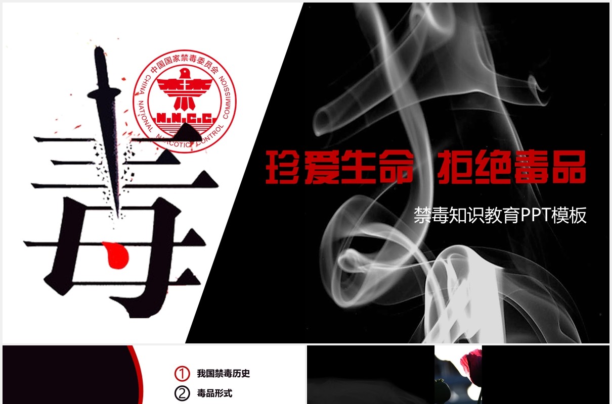 简约禁毒日知识教育宣传PPT模板
