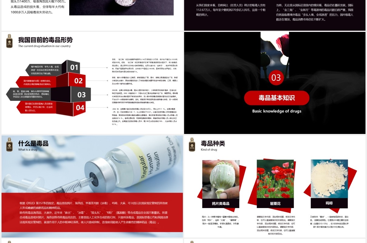 简约禁毒日知识教育宣传PPT模板