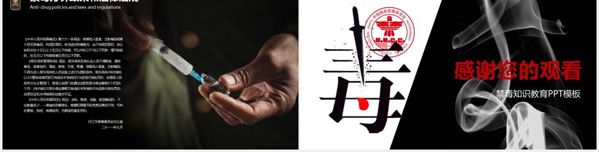 简约禁毒日知识教育宣传PPT模板
